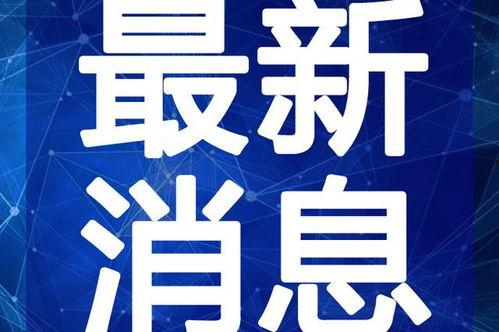 洪大炮最新爆料新闻视频,揭秘事件背后惊人真相